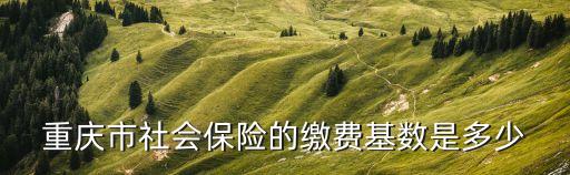 重慶社保基數(shù)，重慶市社會(huì)保險(xiǎn)的繳費(fèi)基數(shù)是多少