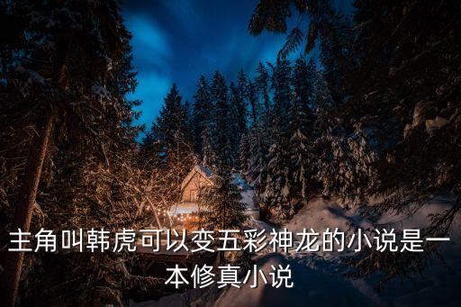 韓虎，天天開心是誰演的