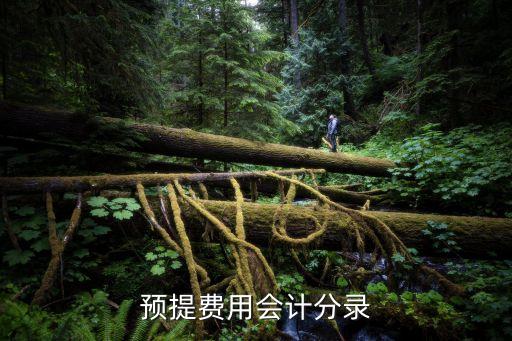 預(yù)提費(fèi)用會(huì)計(jì)分錄，如何預(yù)提費(fèi)用做會(huì)計(jì)分錄
