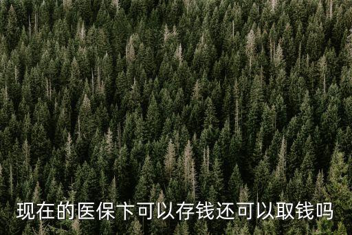 現(xiàn)在的醫(yī)保卞可以存錢還可以取錢嗎