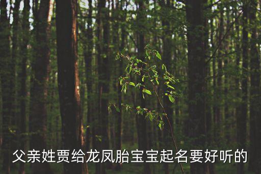賈云龍，賈云龍這個名字好嗎哪個大師給批下