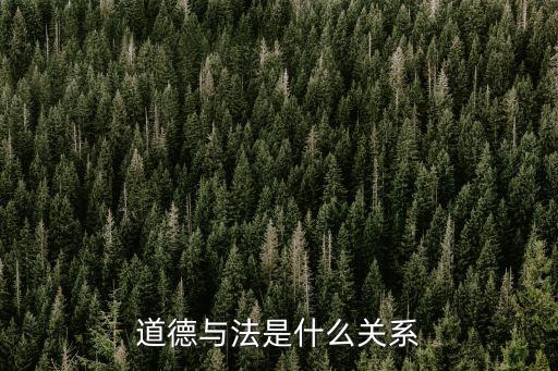 道德與法是什么關(guān)系