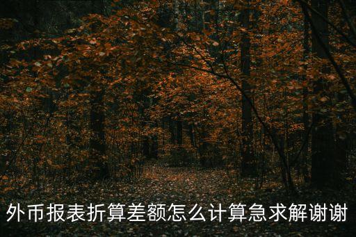 外幣報表折算差額怎么計算急求解謝謝