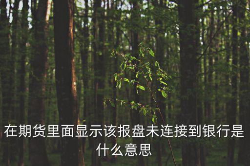 在期貨里面顯示該報盤未連接到銀行是什么意思