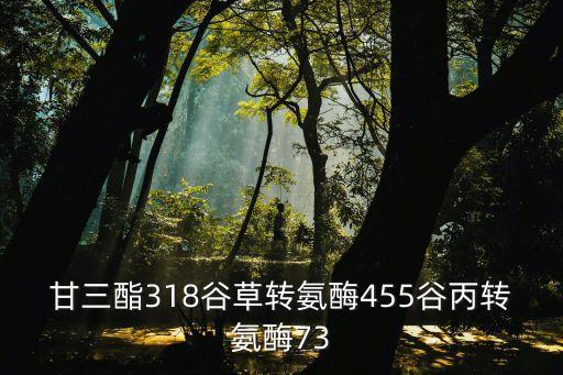 甘三酯318谷草轉(zhuǎn)氨酶455谷丙轉(zhuǎn)氨酶73