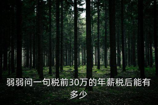弱弱問一句稅前30萬的年薪稅后能有多少