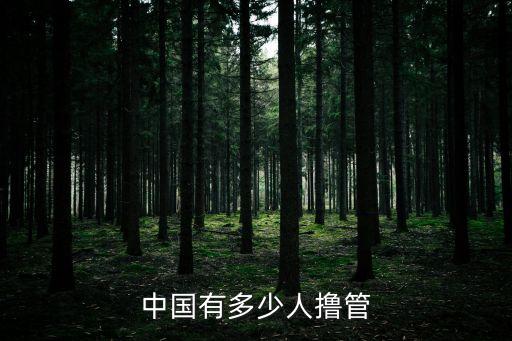 中國有多少人擼管