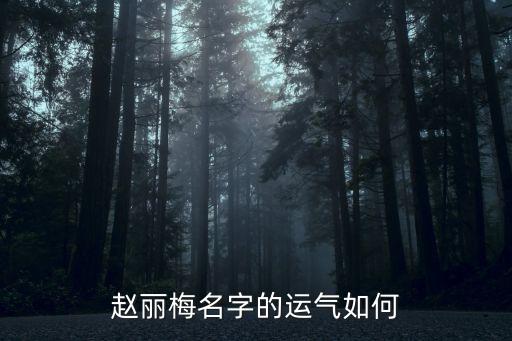 趙麗梅名字的運(yùn)氣如何