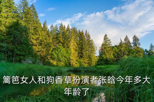 籬笆女人和狗香草扮演者張晗今年多大年齡了
