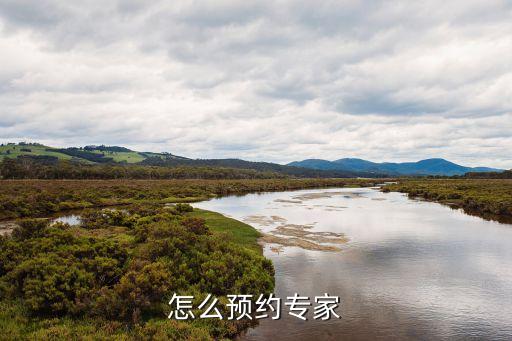 專家號怎么預(yù)約，怎么預(yù)約專家