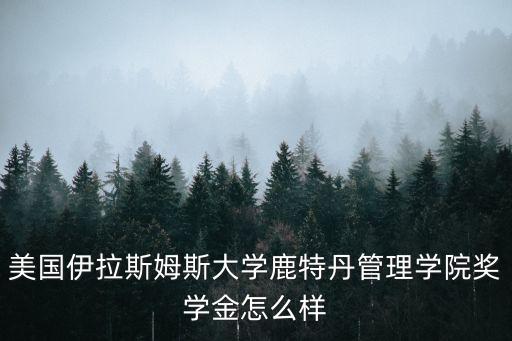 鹿特丹大學，鹿特丹大學是不是荷蘭的