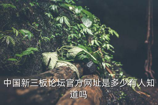 新三板官網(wǎng)，中國新三板論壇官方網(wǎng)址是多少有人知道嗎
