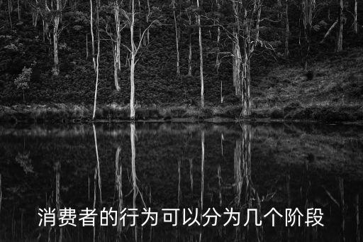 消費(fèi)者的行為可以分為幾個階段