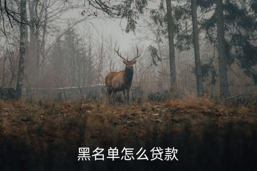 黑名單怎么借錢，黑名單可以在哪里貸款