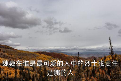 張貴生，魏巍在誰是最可愛的人中的烈士張貴生是哪的人