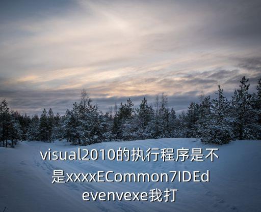 xxxxe，visual2010的執(zhí)行程序是不是xxxxECommon7IDEdevenvexe我打