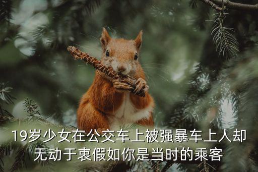 公交車被上，在公交車上被非禮了怎么辦