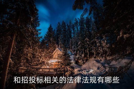 和招投標(biāo)相關(guān)的法律法規(guī)有哪些