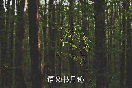 月跡教案，月跡 1孩子們?yōu)槭裁匆穼ぴ铝恋嫩欅E 2尋月的過(guò)程實(shí)際是個(gè)什么