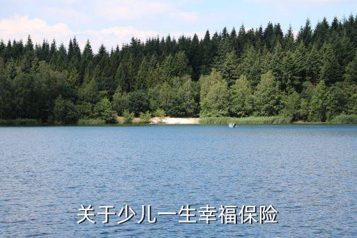 關于少兒一生幸福保險