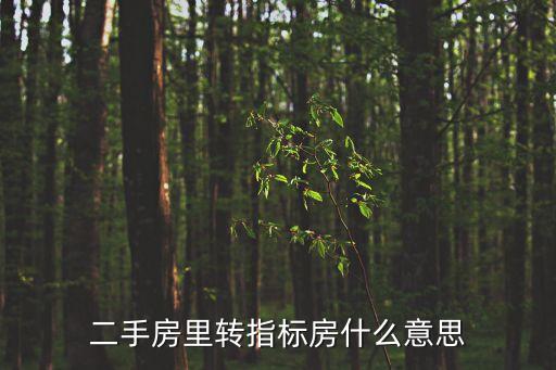 指標(biāo)房是什么意思，二手房里轉(zhuǎn)指標(biāo)房什么意思