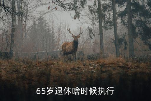 65歲退休什么時候執(zhí)行，65歲退休何時執(zhí)行