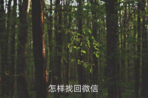 怎樣找回微信