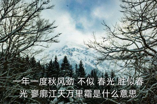 一年一度秋風勁 不似 春光 勝似春光 寥廓江天萬里霜是什么意思