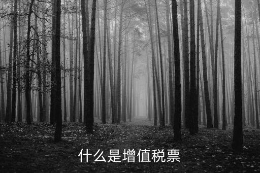 什么是增值稅票