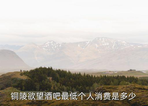 銅陵欲望酒吧最低個人消費是多少