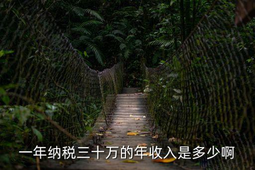 稅前30萬年薪稅后多少，請問年個人所得稅約30萬那么年收入是多少