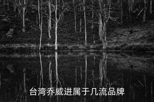 喬威，喬威充電寶和臺電充電寶哪個好些