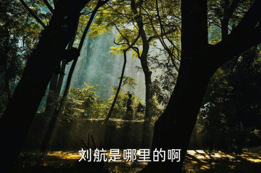 劉航，劉航是歌手嗎