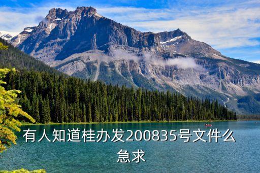 有人知道桂辦發(fā)200835號(hào)文件么 急求