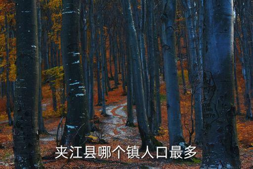 夾江縣哪個(gè)鎮(zhèn)人口最多