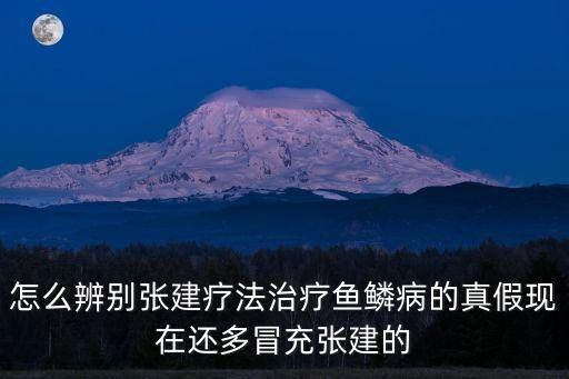 沈陽張建，沈陽華龍集團(tuán) 老總 或法人代表是誰叫什么