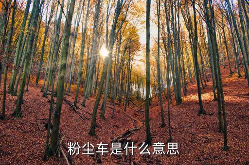 粉塵車是什么意思