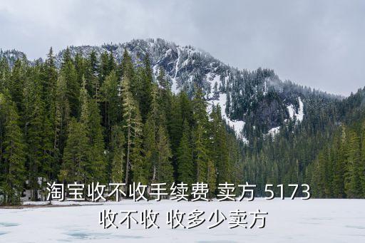373dd，淘寶收不收手續(xù)費(fèi) 賣方 5173 收不收 收多少賣方