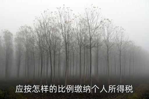 應(yīng)按怎樣的比例繳納個(gè)人所得稅