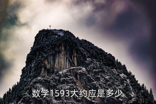 數(shù)學1593大約應是多少