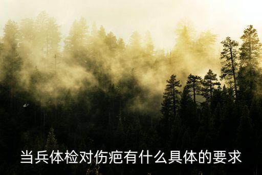 征兵體檢疤痕標準，當兵體檢疤痕要求