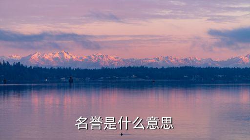 名譽是什么意思