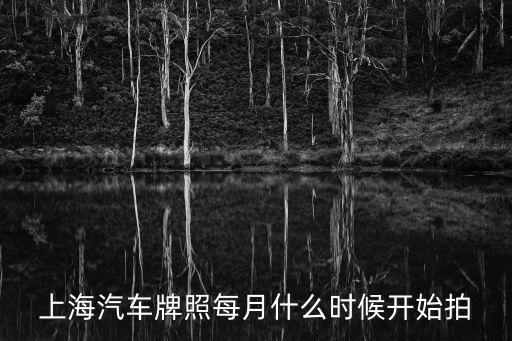 上海拍牌時間，滬牌竟拍具體時間幾點到幾點