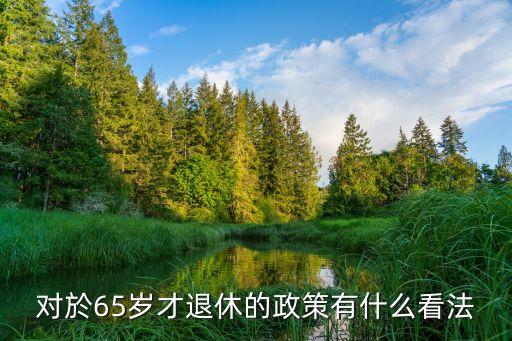 對於65歲才退休的政策有什么看法