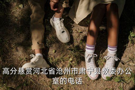 高分懸賞河北省滄州市肅寧縣教委辦公室的電話