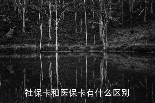 社?？ê歪t(yī)?？ㄓ惺裁磪^(qū)別
