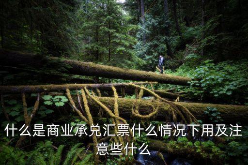 什么是商業(yè)承兌匯票什么情況下用及注意些什么