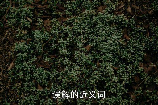 誤解的近義詞