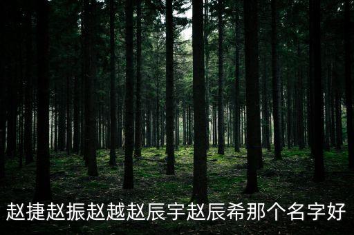 趙捷，相愛十年中趙捷是誰扮演的