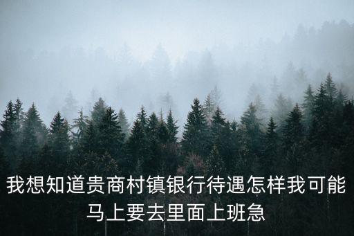 我想知道貴商村鎮(zhèn)銀行待遇怎樣我可能馬上要去里面上班急